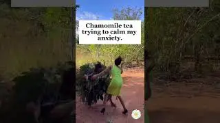Chamomile tea for the win!🤭😅 #anxiety #chamomiletea