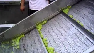 Bubble washing machine for grape