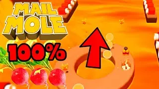 Mail Mole XPress Deliveries 📪 100% Walkthrough 📪 All Radishes #7