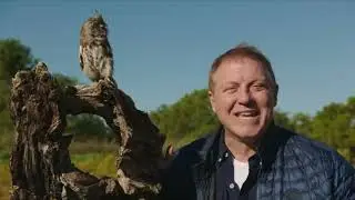 Wild Kratts: Owl Odyssey - Owl Country