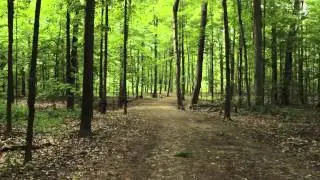 4k Red Epic Footage