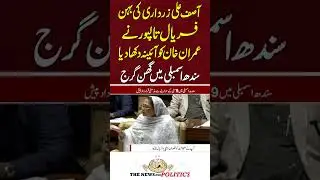 Faryal Talpur Got Angry On Imran Khan #imrankhan #faryaltalpur #youtubeshorts #sindhassembly #ppp