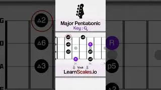 Learn G Major scale on bass for beginners 🎸