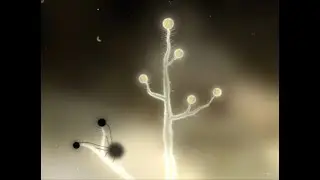Чучел теперь орех?!?! (Botanicula)