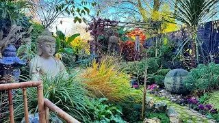 What my zen garden looks like in winter.