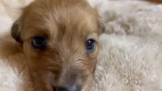元気な男の子です⭐️