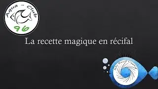 Conf&eacute;rence : La recette magique du r&eacute;cifal - Mr Recif Captif #150