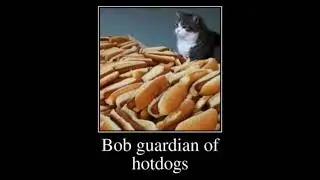 bob guardian of hotdogs
