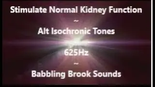 🎵 Stimulate Normal Kidney Function~Alt Isochronic Tones~Babbling Brook Sounds