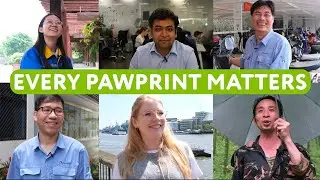 Every Pawprint Matters | The Cheeky Panda
