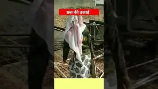 #Slab casting #construction #civilwork #youtubeshorts #civilengineer
