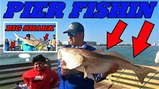 PIER FISHING FOR MONSTERS | BIG SHARKS AND BIG REDFISH | SHARKS ARE FINALLY HERE