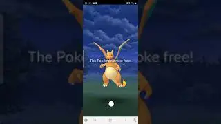 Wild Charizard Catch Pokemon Go #shorts