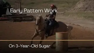Pattern Work on 3-Year-Old Sugar