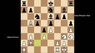 Aleksa Petrovic vs Vestby-Ellingsen, Mads (2024)