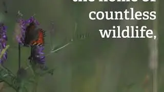 #SaveTheGwentLevels