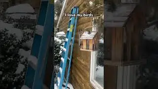 #birdnerd