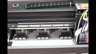 Greasing the Print Carriage - Ink Experts IE-30 maintenance