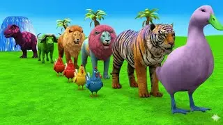 Long Slide Game With Elephant Gorilla Buffalo Hippopotamus Tiger - 3d Animal Game - Funny 3d Animals
