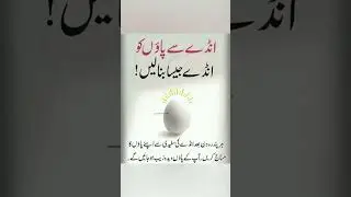 Urdu tips and tricks #urdu totkay #urdutips#wintercollection #viral #short #new#urdu tips