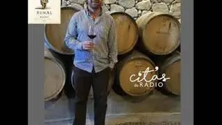 Agust&iacute;n Lan&uacute;s: Hacer vino es lo m&aacute;s parecido a cocinar, cada uno le pone lo suyo