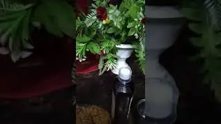 Mandu thagy Annalaku me chelli chepey sandesham
