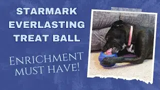 Starmark Everlasting Treat Ball Review 🐶 The Tough & Tasty Enrichment Toy!