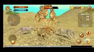 Guys today we playing cheetah simulator
