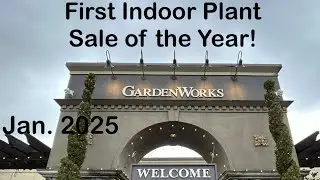 1st indoor plant sale of 2025! Visited #gardenworks #burnabybc to get some #planttherapy