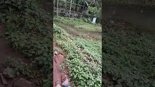 prakrithi