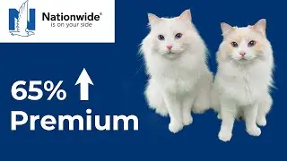 Nationwide Pet Insurance My Honest 4-Year Review &ndash; Is It Worth It? | The Cat Butler