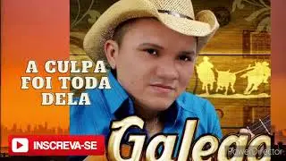 GALEGO DOS TECLADOS A CULPA FOI TODA DELA.