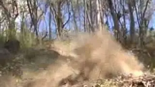 2007 Mt Beauty DH Course