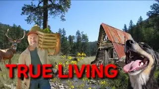 Do YOU Want to Find Real Life? - Secrets to Finding a True Life in Paradise  - 2260