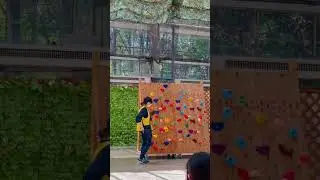 Bird Show in Japan🇯🇵 #birdshow #japan #japanvlog #ofw #ofwjapan  #trendingshorts #viral #japantrip