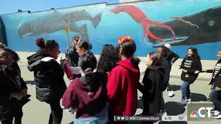 NBC CT WYLAND STORY