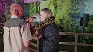 Dinosaur World Festival Rustenburg 2025