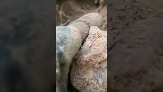 Druzy hunting in Missori #crystals #rockhounding #thecrystalcollector #rock #druzy #drusy #nature