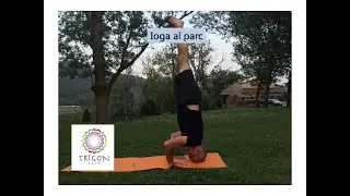 Sessió de Hatha Ioga al parc amb en Lluís, professor de la Sala Trigon de Barcelona