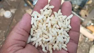 Popcorn Roaster Machine, Muri machine, Kurkura Roster machine, Dry food Roaster Machine