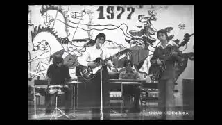Гранитный камушек  ВИА школы 731, Рублево, Москва  1977 г