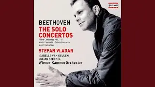 Violin Concerto in D Major, Op. 61: I. Allegro ma non troppo
