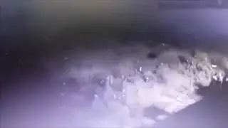 Mass Prison Escape