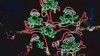 2006-12-14 CALM Holiday Lights.flv