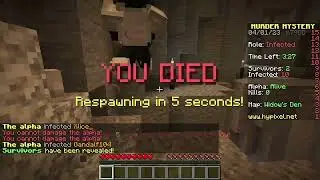 Ich erkunde Hypixel