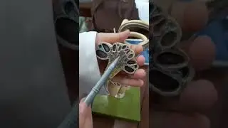 ear model anatomy of inner ear