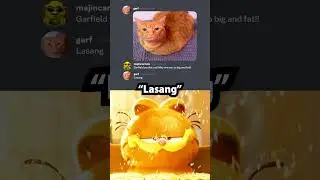 Bro loves lasagna 🐱