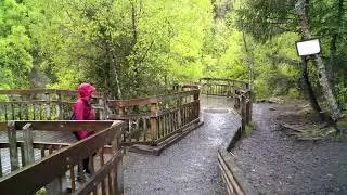 Russian River Falls Hike - Alaska