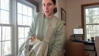 Honest Review of Small Dog and Cat Carrier