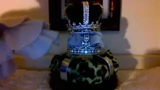 AMERICAN OFFICIAL ROYAL CROWNED HER MAJESTY  IMPERIAL ZILLIONAIRE EMPRESS WEARING THE WORLD CROWN
